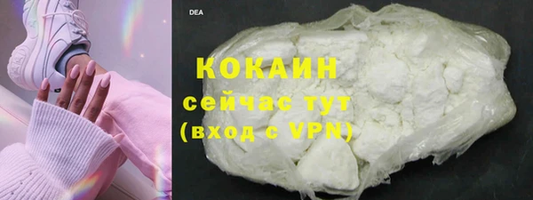 гашик Лиски