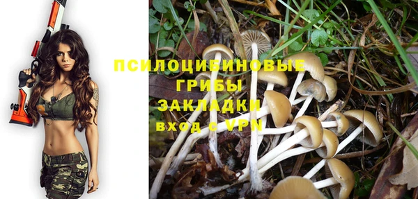 гашик Лиски
