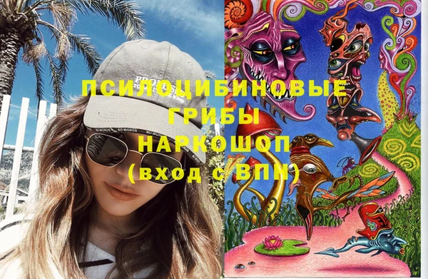гашик Лиски