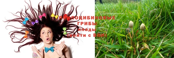 гашик Лиски
