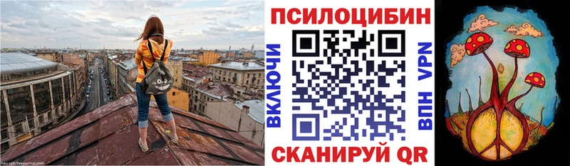 маркетплейс формула Щёлкино Галлюциногенные грибы мицелий купить